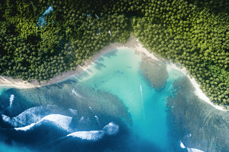 Aerial photo of beach